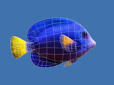 Purple Tang Schooling Fish Low-poly 3D model