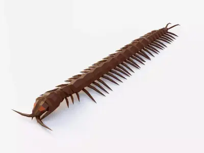Centipede low poly 3d model Low-poly 3D model
