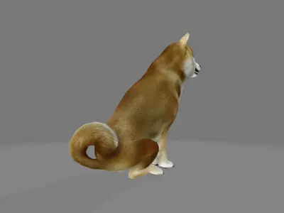 animated shiba inu dog Low-poly 3D model
