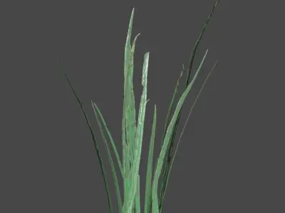 ULTRA REALISTIC GRASS FOLIAGE Free low-poly 3D model