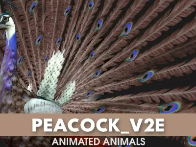 Peacock V2E Free low-poly 3D model
