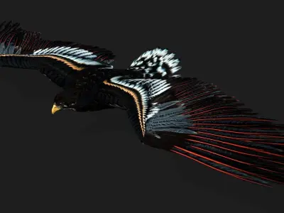Eagle A1 3D model