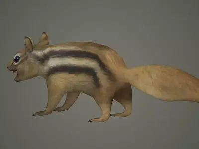 squirrel cute animal mammal wildlife little hamster marmot 3D model