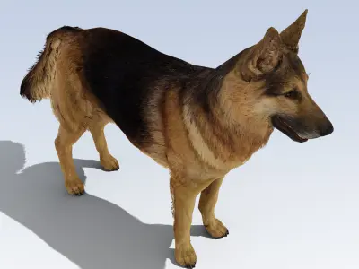 German Shepherd Dog Rig Low-poly 3D model