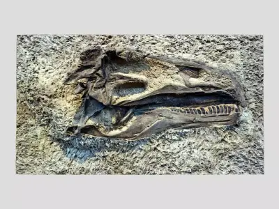 Tyrannosaurus Rex-fossil-dinosaur Low-poly 3D model