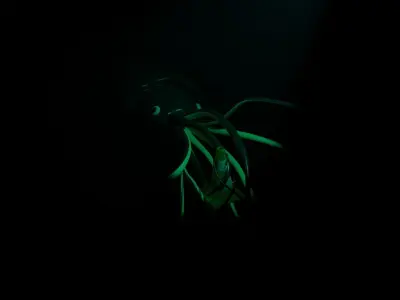 Giant deep sea squid Free 3D model