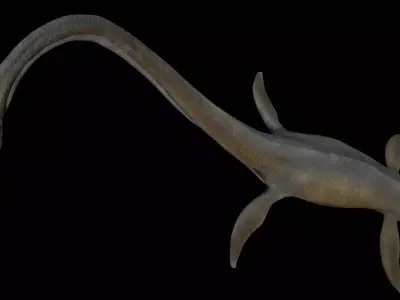 Elasmosaurus dinosaur Low-poly 3D model