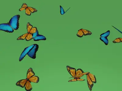 butterflies animation Low-poly 3D model