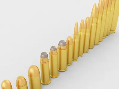 The Pistol and Rifle Cartridge Collection  3D model