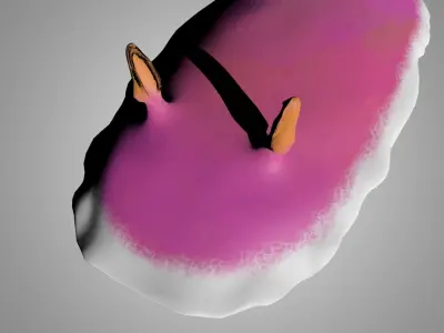 Sea Slug - Nudibranch 3D model