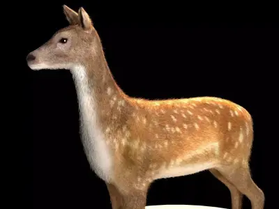 Deer 3d model Low-poly 3D model