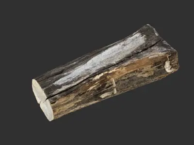 A withered piece of wood 3d scan in highpoly 3D model