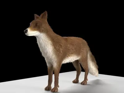 Fox animal Low-poly 3D model