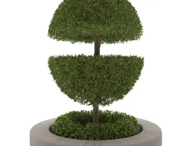Outdoor bush Free 3D model