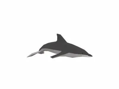 Dolphin Low poly Low-poly 3D model