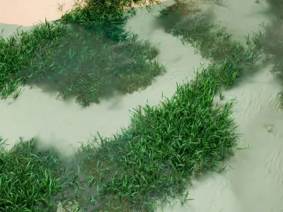 Seagrass Generator Low-poly 3D model