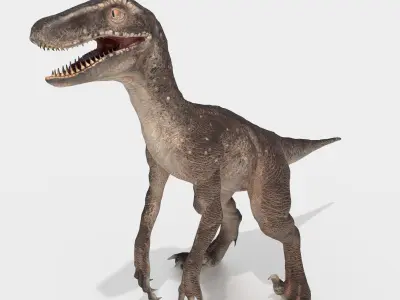 velociraptor dinosaur Low-poly 3D model