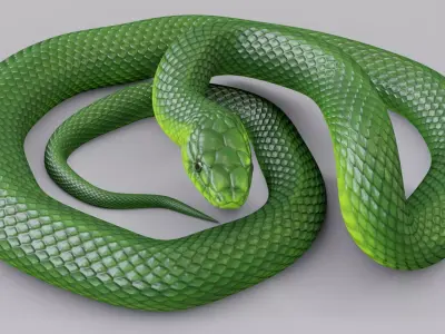 Animated Green Mamba Free low-poly 3D model