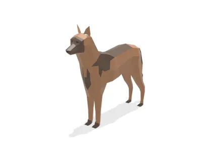 Low poly Belgian Malinois 3D model