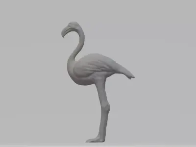 Flamingo 3D Model Free 3D print model