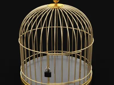 Golden Cage 3D model 3D model