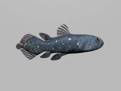 Coelacanth Fish Low-poly 3D model