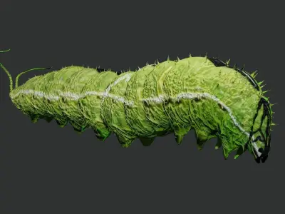 Caterpillar 3D model