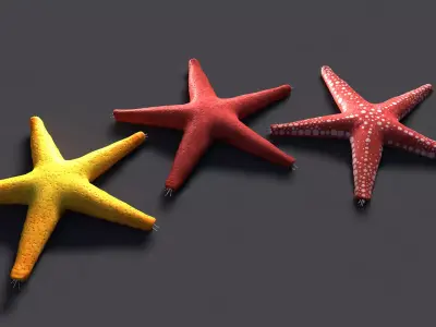 Red Star Fish Low-poly 3D model