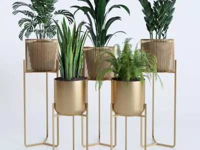 plant collection RPM 01 3D model