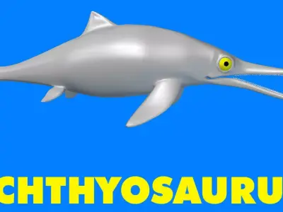 Ichthyosaurus dolphin 3D model