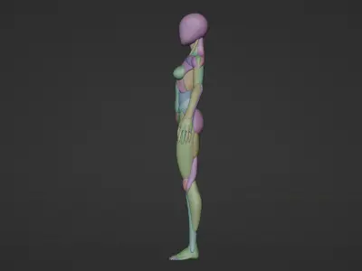 female character basemeshse 3d 3D model