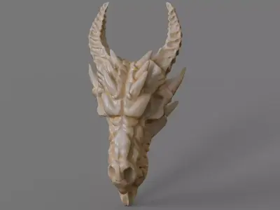 Dragon skull 3D print model