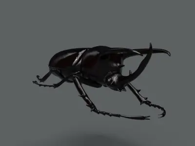 Atlas Beetle Low-poly 3D model