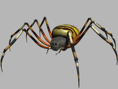 Spider Tiger Rigged Low-poly 3D model
