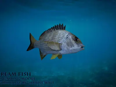 Bream Fish Lowpoly 3D Gaming model Low-poly 3D model