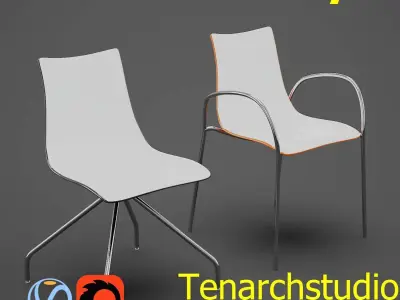 Tenarchstudio Zebra Bicolore Render ready  Free 3D model