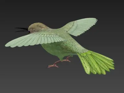 Trochilidae hummingbird Low-poly 3D model