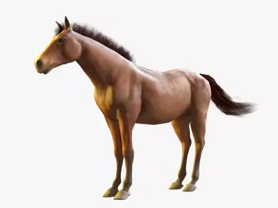 Horse Textured Low-poly 3D model