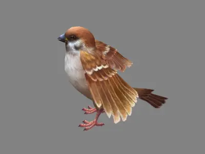 Cartoon sparrow Low-poly 3D model