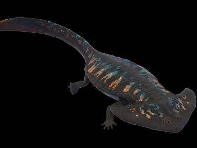 Diplocaulus Asset Pack Low-poly 3D model