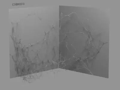 Cobwebs Collection open door with spider webs 3D model