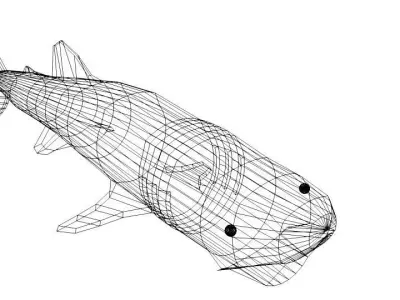 Shark - Whaleshark 3D model