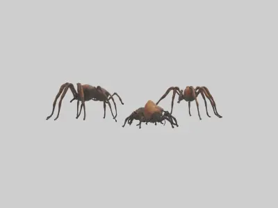 Creepycrawlies Model  Low-poly 3D model