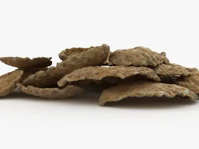Whole Grain Cereal Pile 3D model