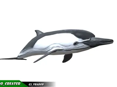 Low-Poly Dolphin Rigged Animated 3D model Low-poly 3D model