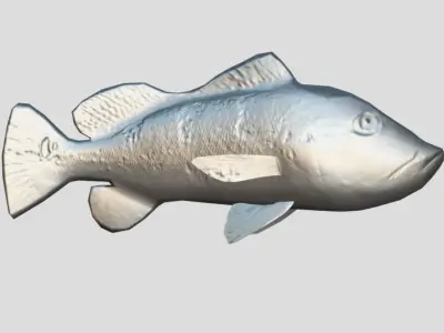 Peacock Bass Realistic Animated Low-poly 3D model