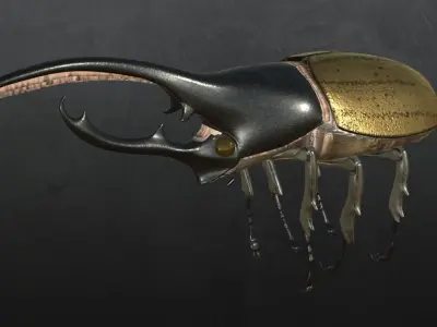 Hercules Beetle 3D model