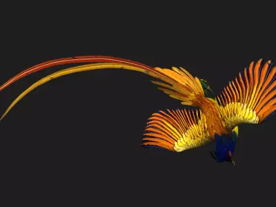 Pheasant Bird A1 Free 3D model