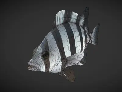 Fishes 02 Low-poly 3D model