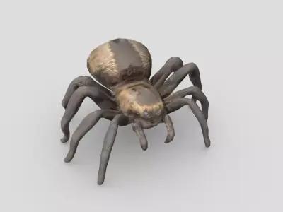 Tarantula Low-poly 3D model